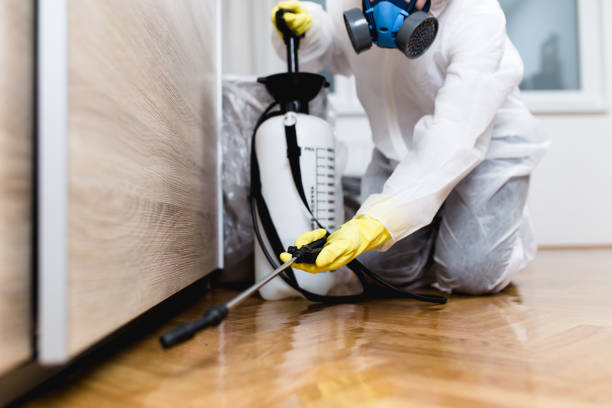 Best Pest Control for Homes  in Avilla, IN