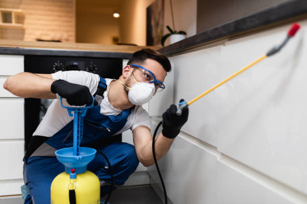 Pest Prevention Services in Avilla, IN