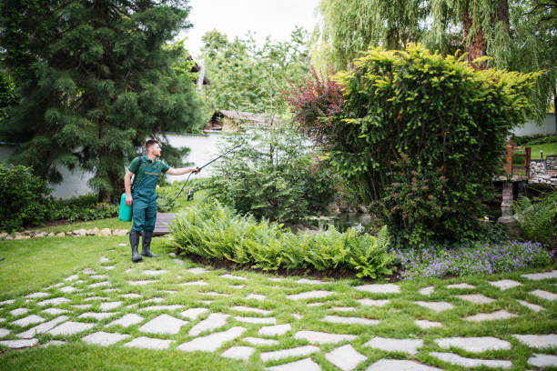 Professional Pest Control in Avilla, IN