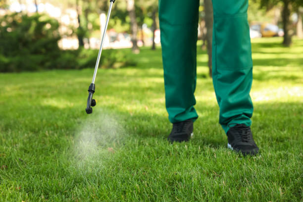 Best Termite Control Services  in Avilla, IN