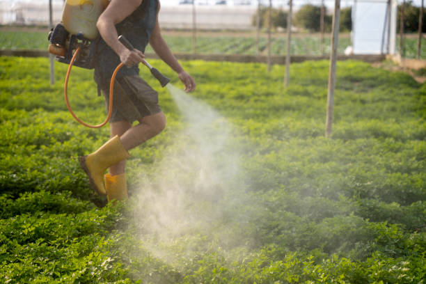 Best Pest Prevention Services  in Avilla, IN