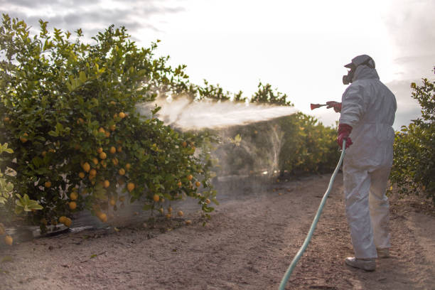 Best Best Pest Control Companies  in Avilla, IN
